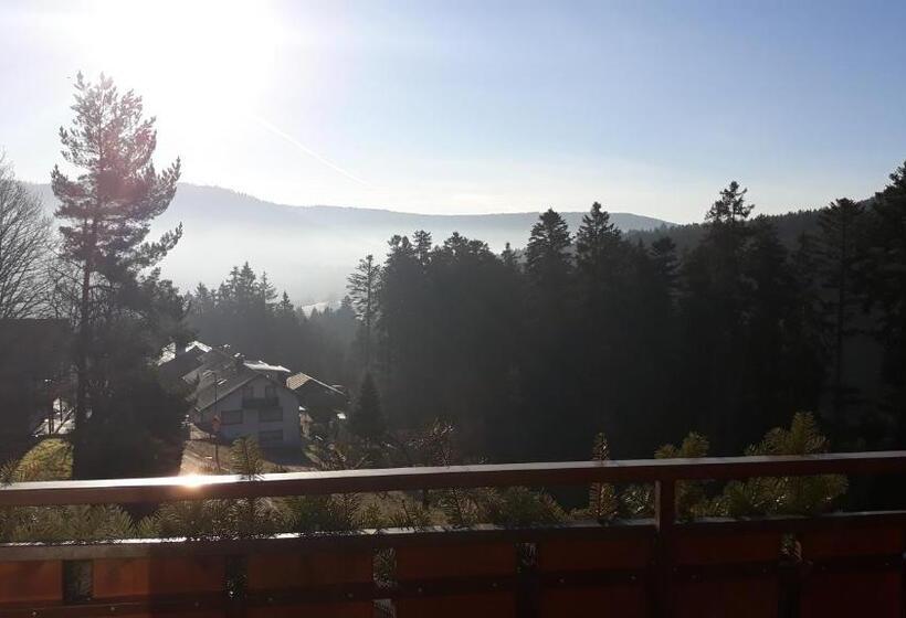 Пансион Landhaus Waldeshöhe