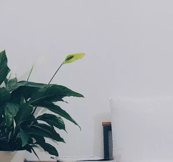 Aamiaismajoitus (B&B) Casa Anna