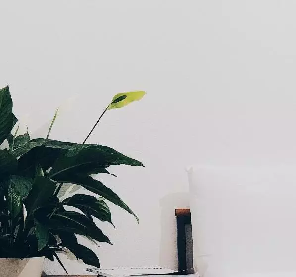 Aamiaismajoitus (B&B) Casa Anna