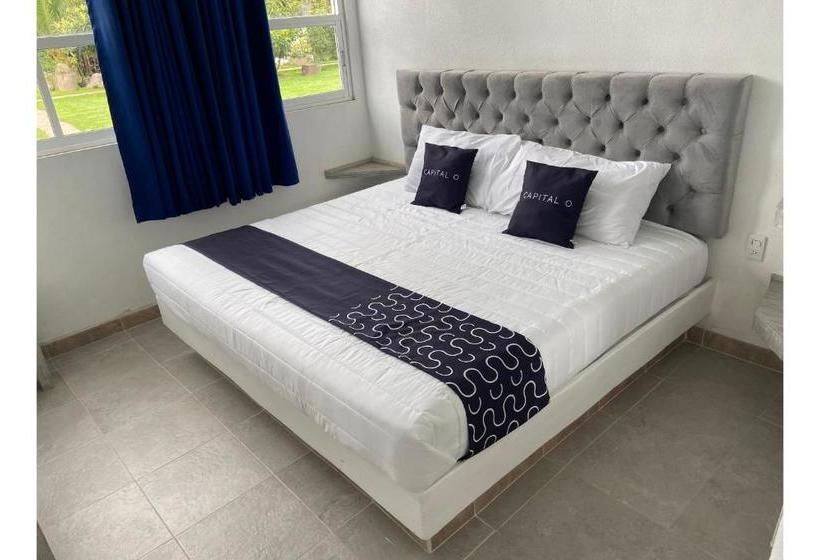 Отель Capital O Vivanta