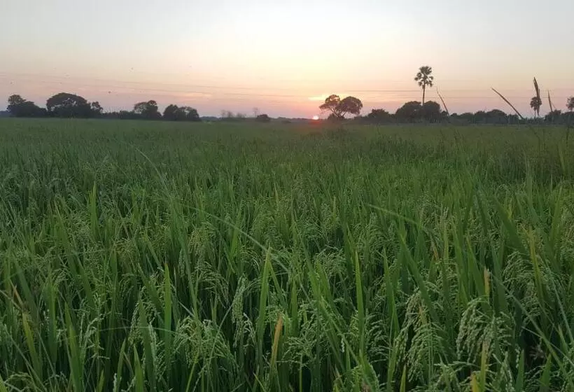 ホテル Cocolagoon Eco Resort Nilaveli