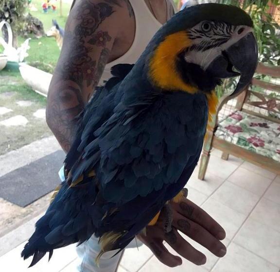 پانسیون Pousada Manancial