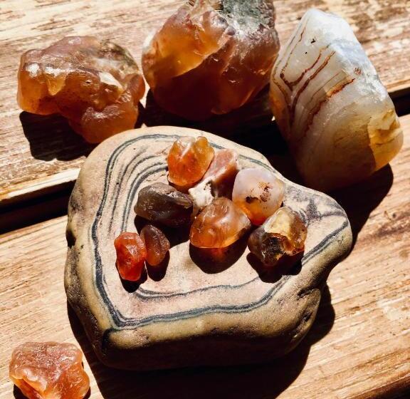 Szálloda Auberge Café Acadien