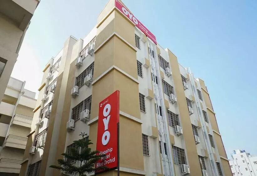 Oyo 24143 Flagship Hotel Blue Orchid