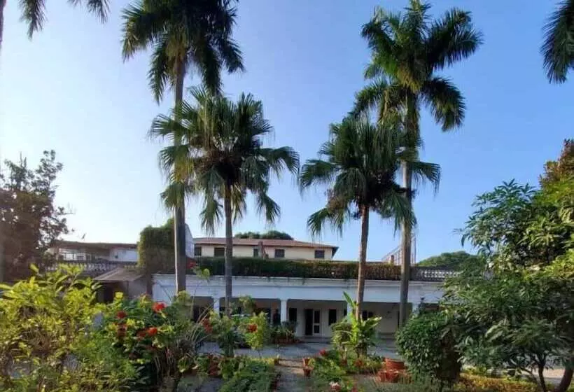Pensione Mango Tree Courtyard Dehradun