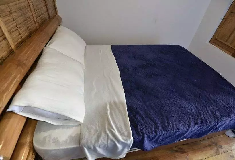 هاستل Sara Lodge