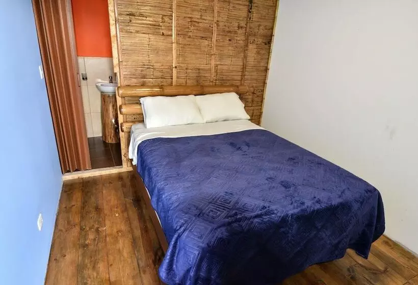 هاستل Sara Lodge