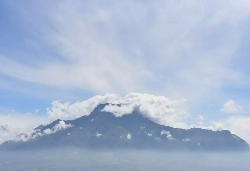 هاستل Sara Lodge