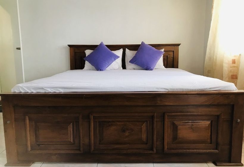 Bed & Breakfast The Colombo Seven