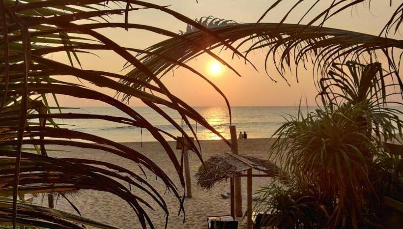 مبيت وإفطار Sailors' Bay