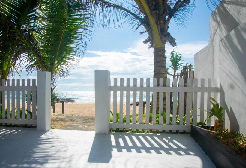 مبيت وإفطار Sailors' Bay