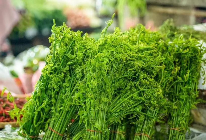 モーテル Pertama Lodge