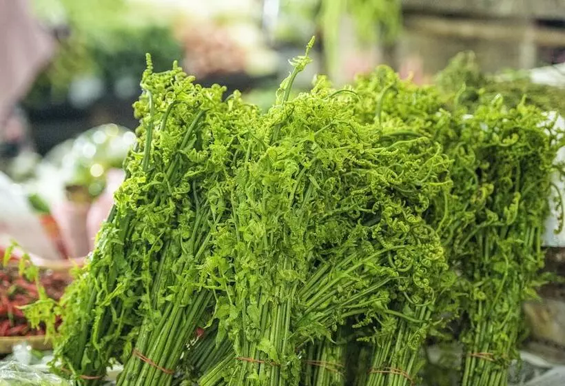 モーテル Pertama Lodge