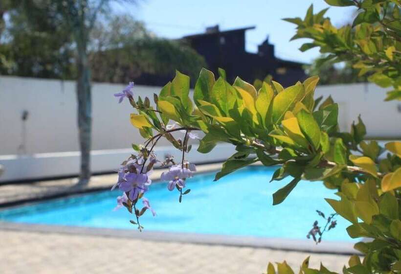 בית מלון כפרי Big Ben Lodge