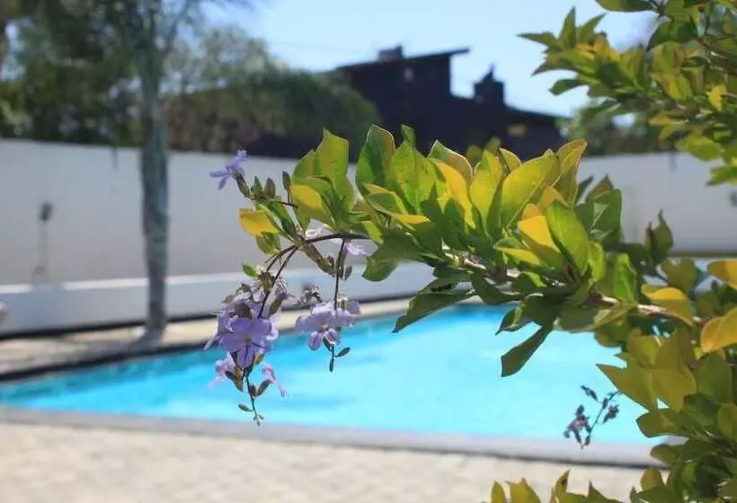 ホテル Big Ben Lodge