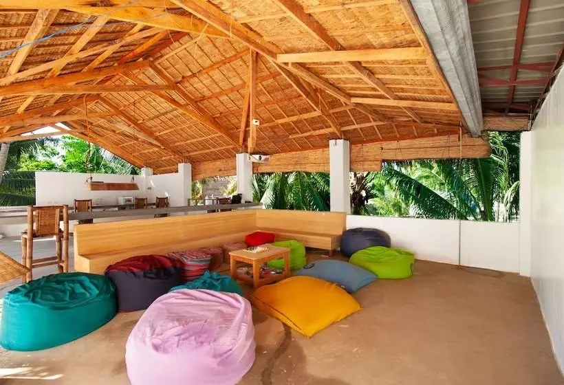 Sunlit Hostel