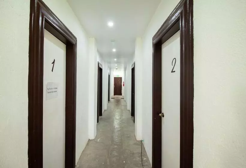 Sunlit Hostel