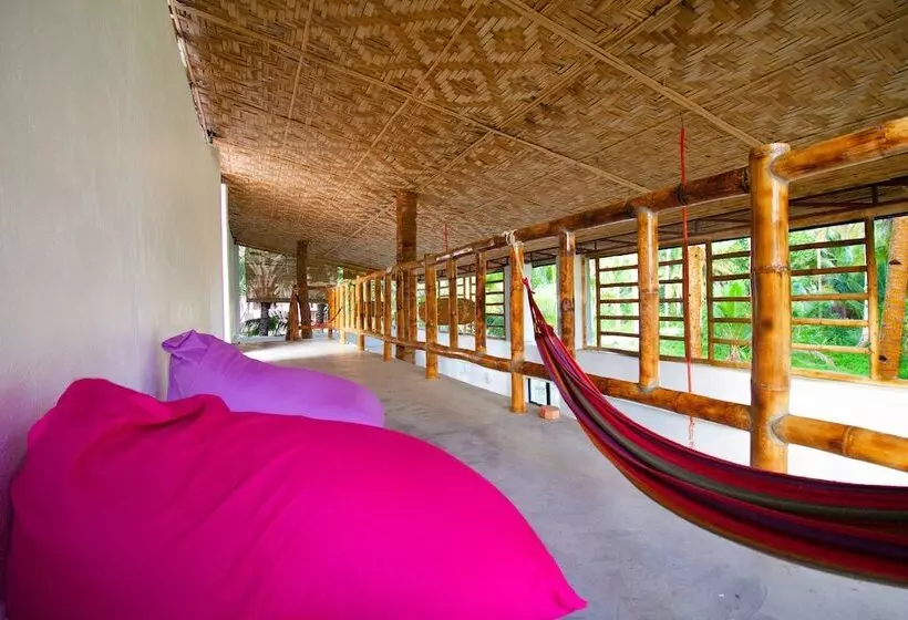 Sunlit Hostel