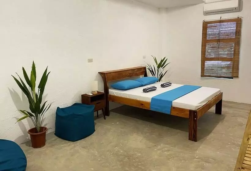 Sunlit Hostel