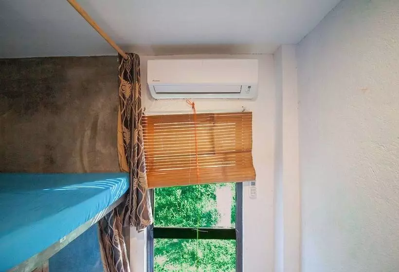 Sunlit Hostel