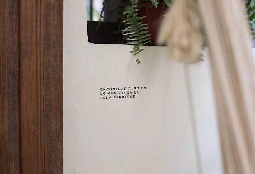 تختخواب و صبحانه Kuka Y Naranjo