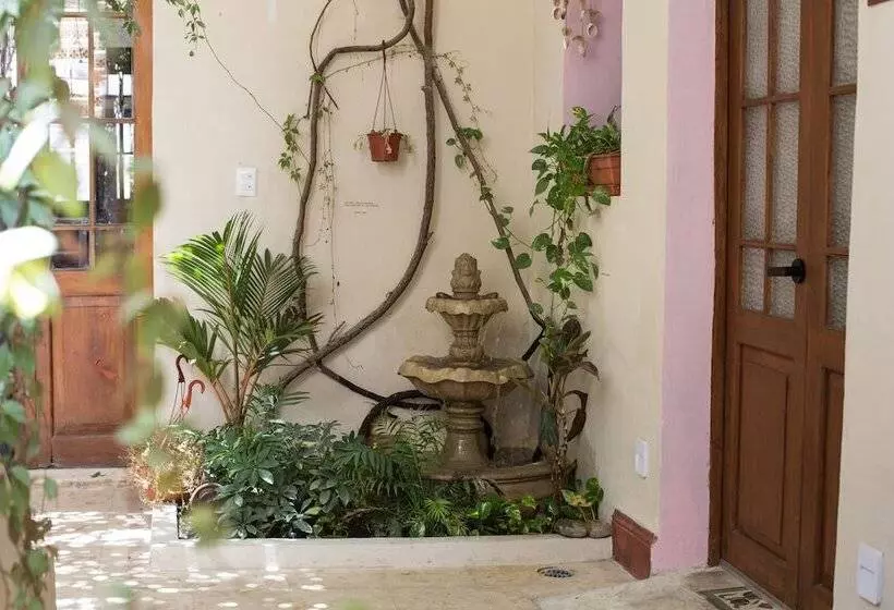 تختخواب و صبحانه Kuka Y Naranjo