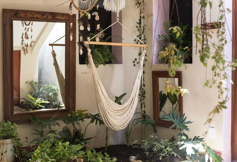 تختخواب و صبحانه Kuka Y Naranjo