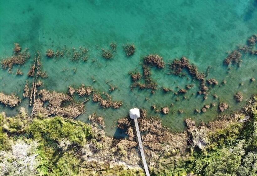 هتل Alice Guesthouse