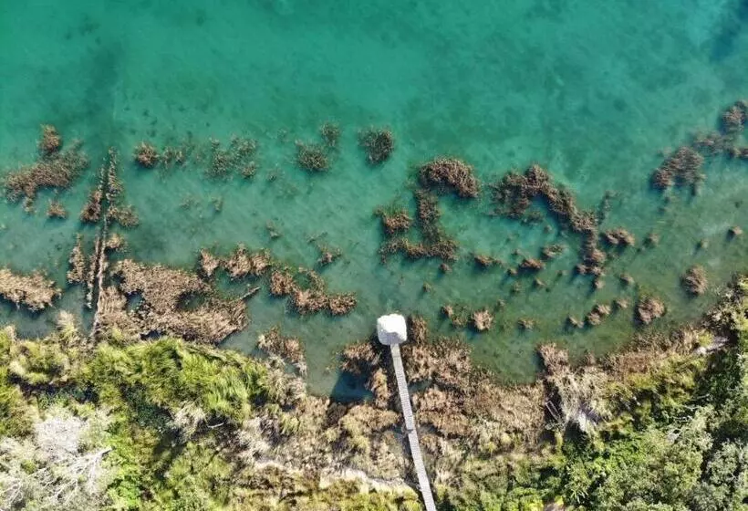 هتل Alice Guesthouse