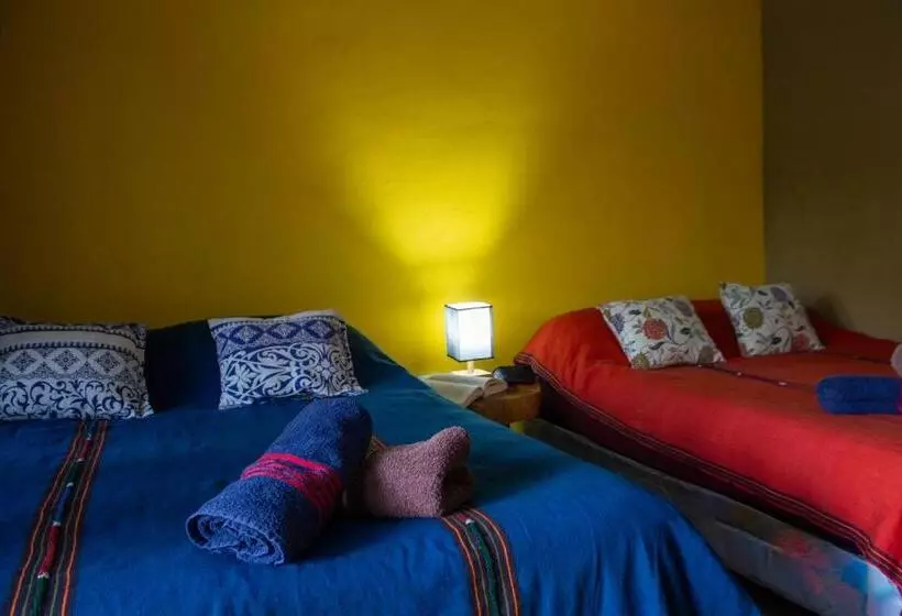 هتل Alice Guesthouse