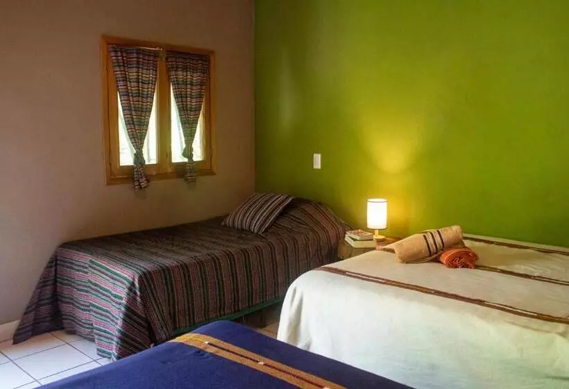 هتل Alice Guesthouse