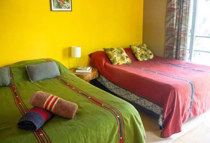 هتل Alice Guesthouse