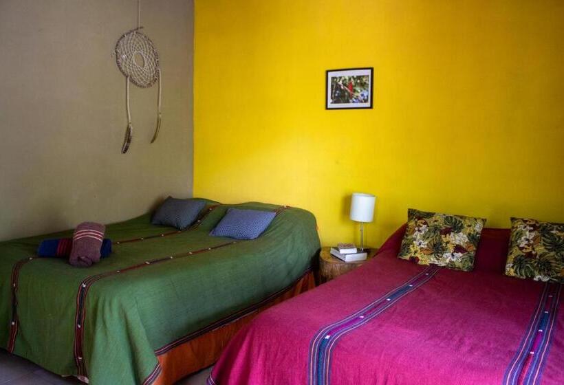 هتل Alice Guesthouse