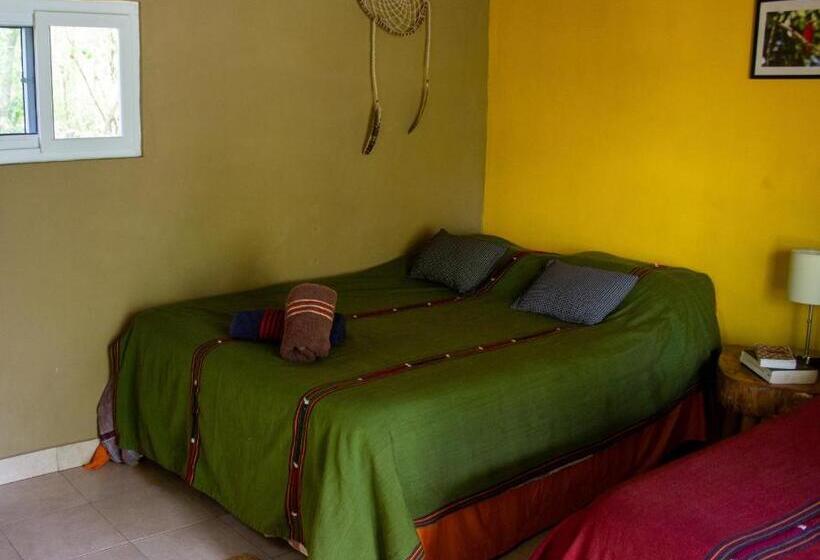 هتل Alice Guesthouse