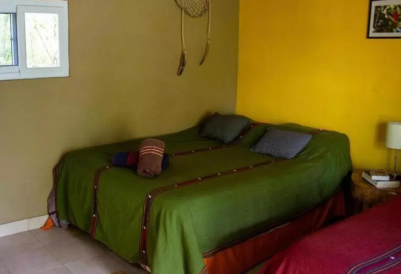 هتل Alice Guesthouse