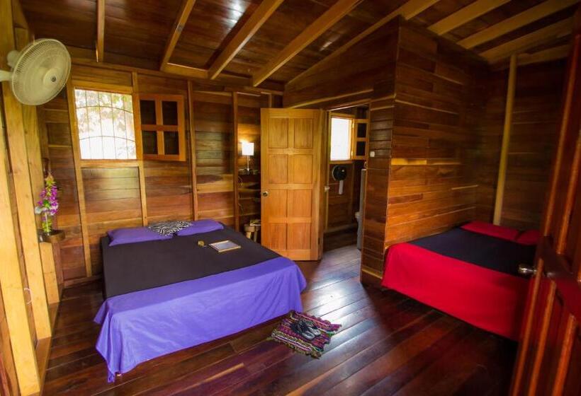 هتل Alice Guesthouse