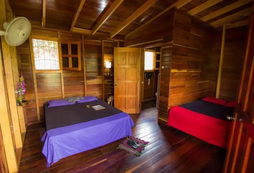 هتل Alice Guesthouse