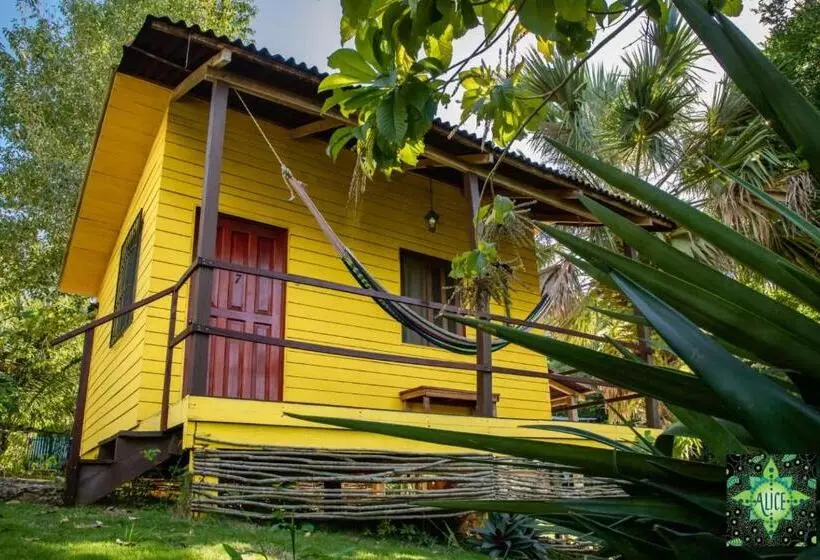 هتل Alice Guesthouse