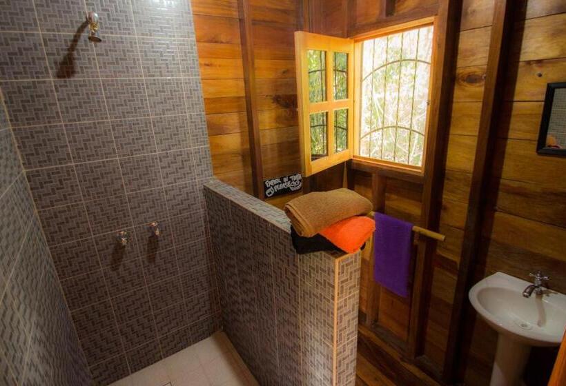 هتل Alice Guesthouse