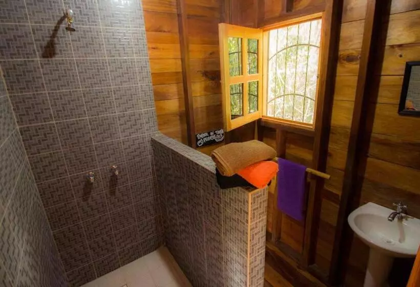 هتل Alice Guesthouse