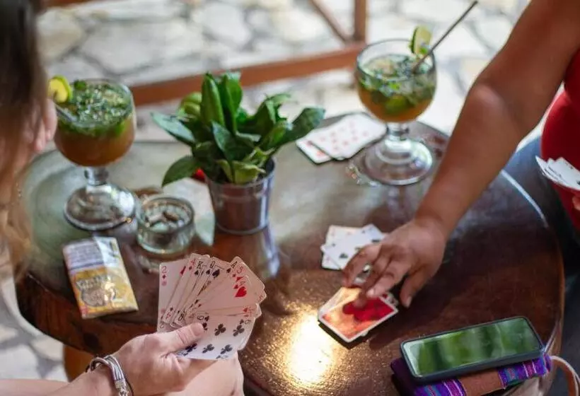 هتل Alice Guesthouse