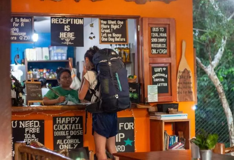 هتل Alice Guesthouse