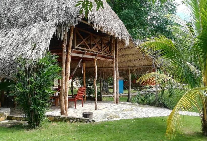 هتل Alice Guesthouse