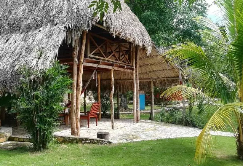 هتل Alice Guesthouse