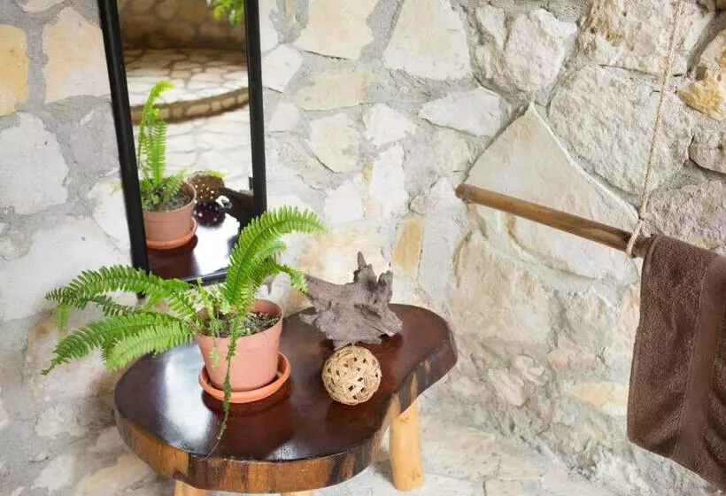 هتل Alice Guesthouse