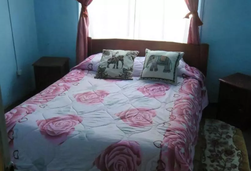 ペンション Hostal Y Cabañas Perla Del Lago