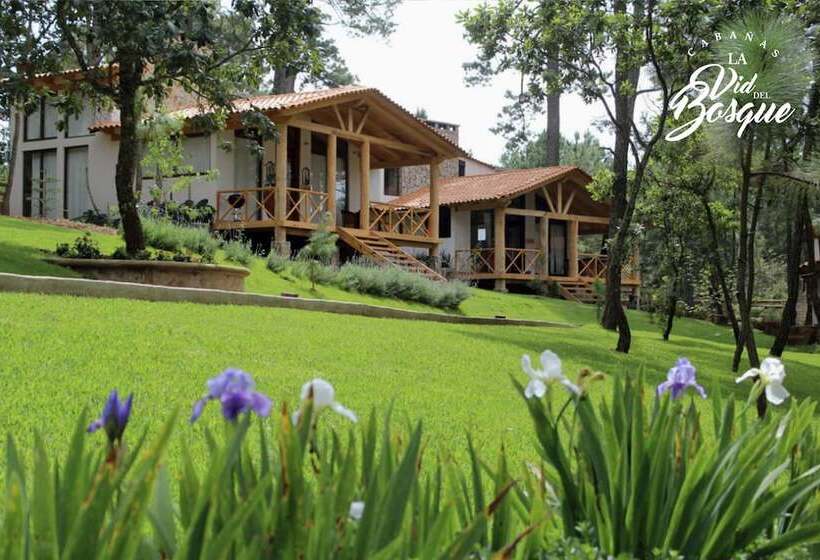 בית מלון כפרי Cabañas La Vid Del Bosque