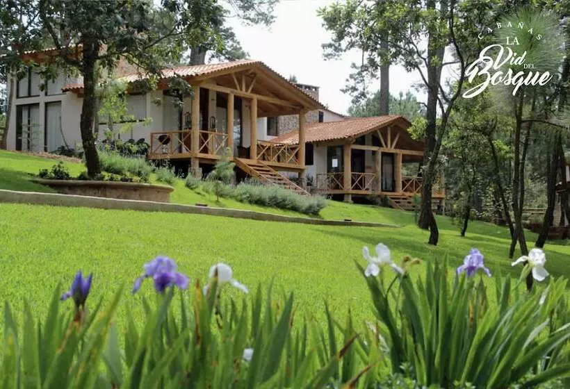 ホテル Cabañas La Vid Del Bosque