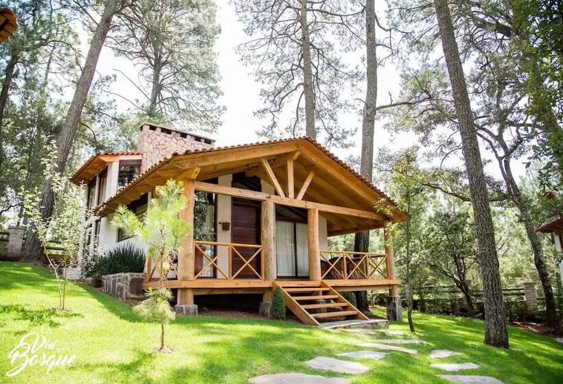 ホテル Cabañas La Vid Del Bosque