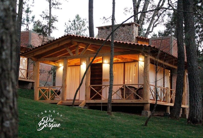 فندق Cabañas La Vid Del Bosque